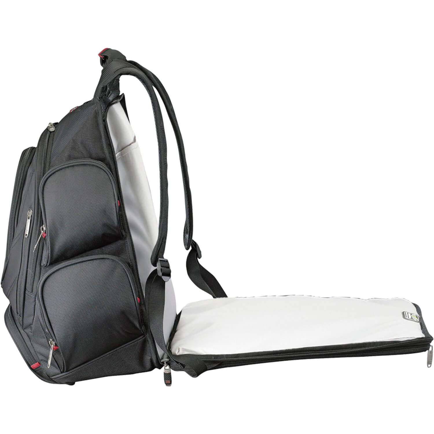 Back Compartment