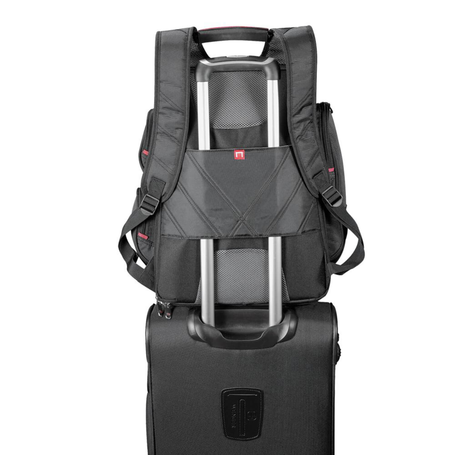 Luggage Strap