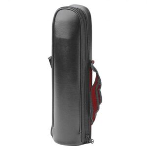 Case