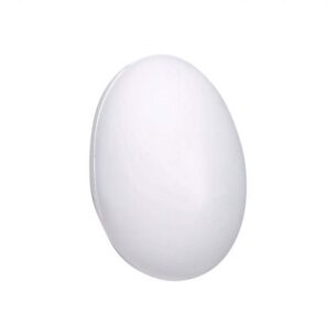 Stress White Egg